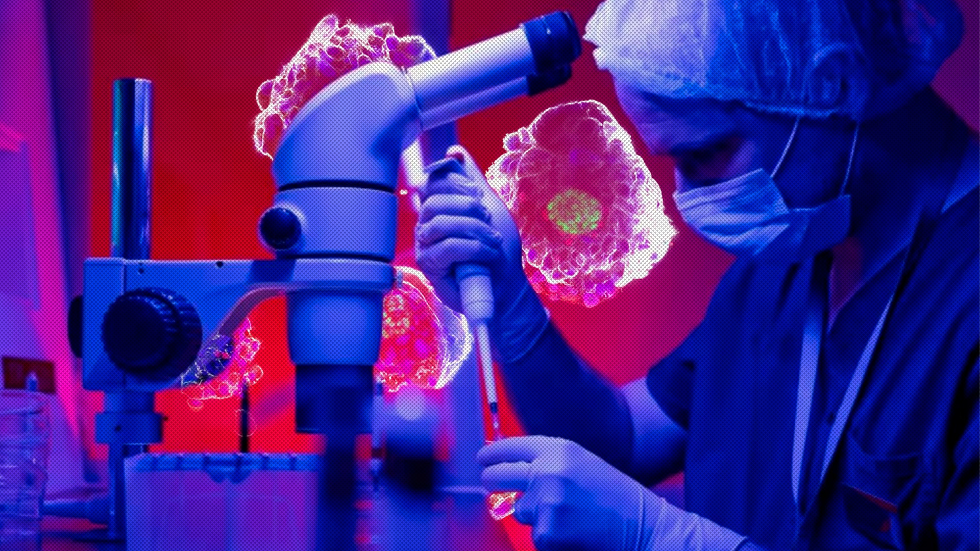 Scientists create for the first time synthetic human embryos