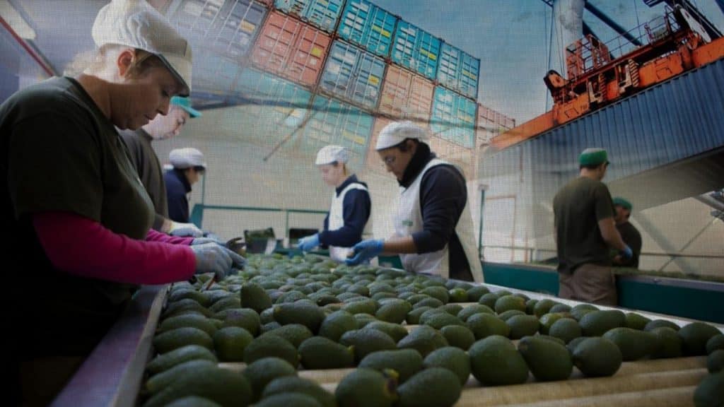 En México, las exportaciones agroalimentarias rompen récord histórico