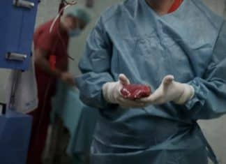 Rusia denuncia a Ucrania por extraer en secreto órganos de soldados heridos para trasplantes