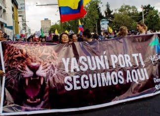 Ecuador rechaza explotación petrolífera en la Amazonía y extractivismo en el territorio