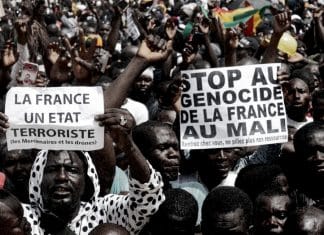 Parlamentarios de Francia advierten fracaso de la política colonial impuesta contra África