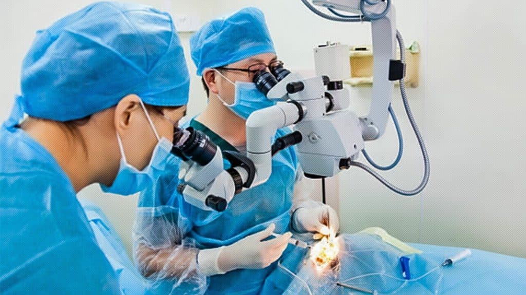 Los avances en la medicina ocular de China, curarían la ceguera genética.