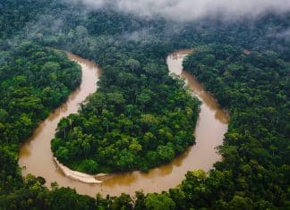 Luis Arce: El interés del imperialismo de militarizar la Amazonía es apoderarse de los recursos naturales