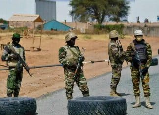 Níger en posición de defensa ante amenazas de invasión militar promovida por Francia