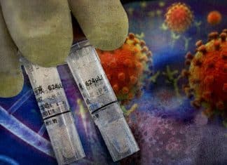 Pirola, la variante más contagiosa que Ómicron