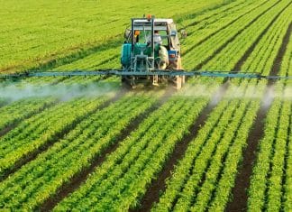 Nicaragua, el país centroamericano con mayor seguridad en el sector de manufactura y agropecuario