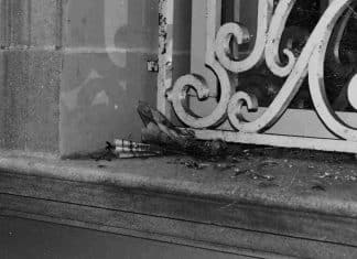 Rusia exige investigación sobre el ataque a embajada de Cuba en EEUU