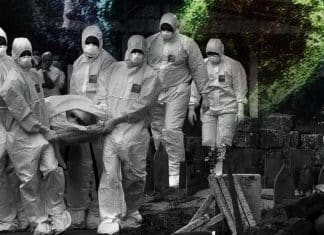 Nipah, el virus más mortífero que la Covid-19, mantiene en alerta a la India