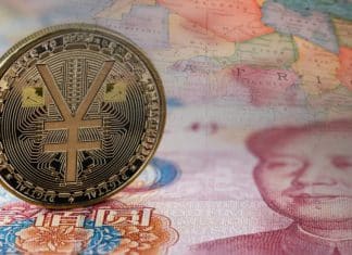 África se inclina hacia el yuan y la rupia en el comercio con Rusia