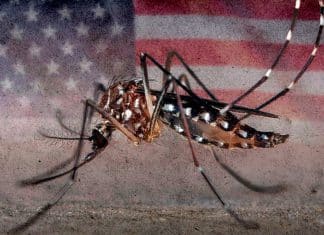 Dengue amenaza EE.UU. y Europa por efectos del cambio climático