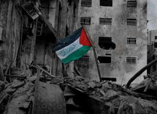 Parlamentario europeo denuncia silencio de la Unión Europea sobre crímenes de Israel