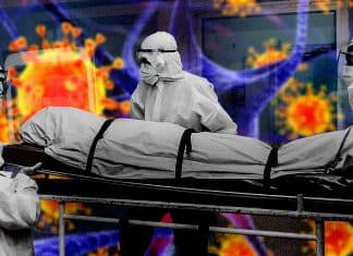 ¿Qué es el Virus Nipah y cuánto peligro corremos?