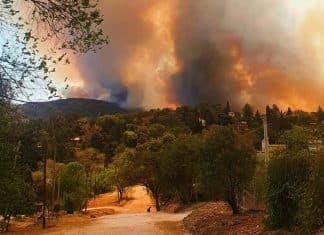 Incendio forestal en Argentina