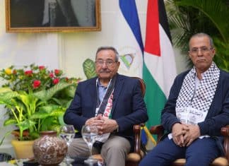 Organización para la Liberación de Palestina insta demandar a Israel ante la CIJ