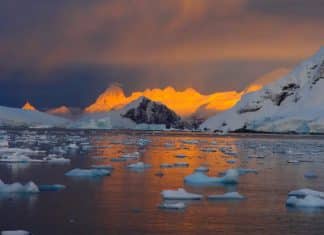 El Planeta pierde más del 40 % de las plataformas de hielo