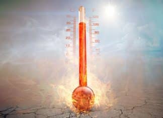 2023 podría ser el año más caluroso de todos los tiempos