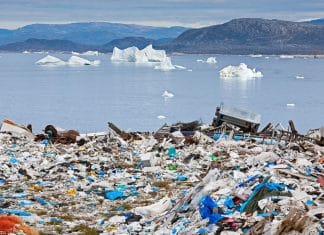 Basura marina amenaza el Ártico, advierten científicos rusos