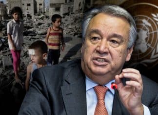 ONU: El fracaso que ya nadie cree