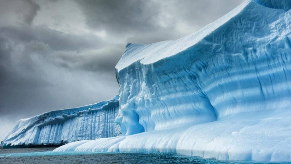 El iceberg A23a podría representar un peligro para millones de pingüinos, focas