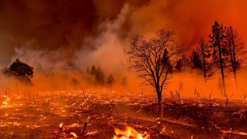 Los incendios de sexta generación, una amenaza global.