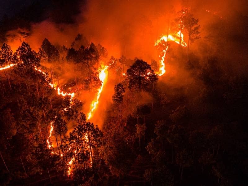 El cambio climático incide en el aumento de incendios devastadores. Foto: Istock.