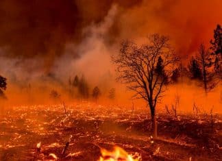 Así es la capacidad devastadora de los incendios de sexta generación