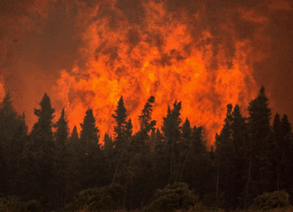 Incendios de Canadá provocan contaminación a escala global