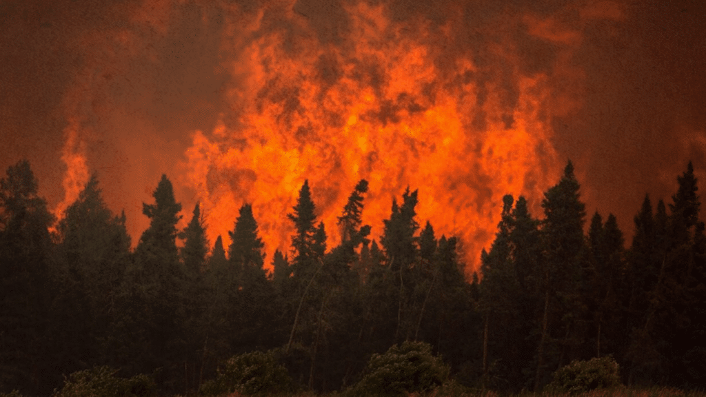 23 % de las emisiones mundiales de carbono son provocadas por los incendios en Canadá.