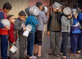 Más del 80 % de los niños en Gaza sufren pobreza alimentaria grave, advierte Unicef