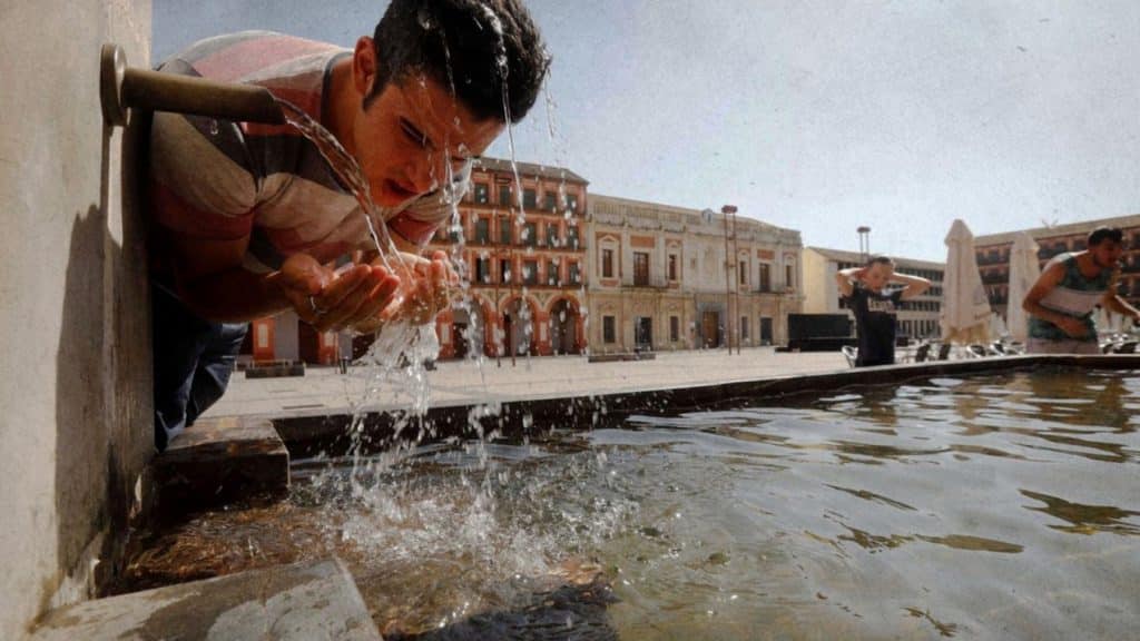 Según la OMS, los efectos del cambio climático aumentan las muertes por causas ambientales prevenibles.