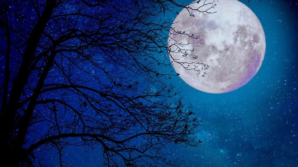 La 'Luna fría' iluminará la Tierra, luego de las festividades navideñas en 2023.