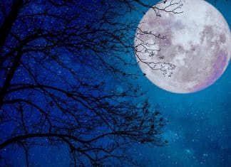 ¿Cuándo se verá la última Luna llena en 2023?