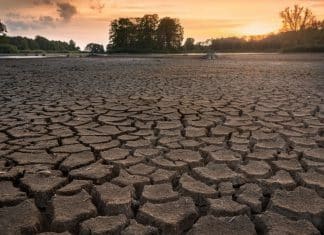 Sequía, la amenaza permanente contra la seguridad alimentaria