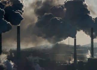 Cambio climático, mayor riesgo global para la próxima década