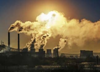 Climate change, greatest global risk for the next decade