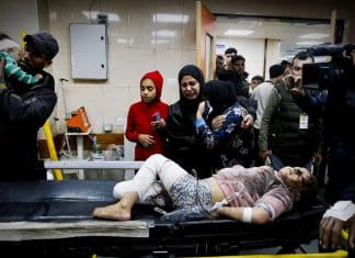 Respaldo internacional sobre demanda interpuesta a Israel ante la CIJ por genocidio en Gaza