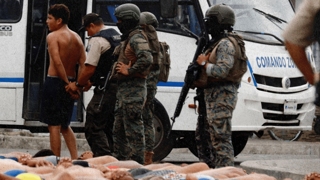 Fuerzas armadas de Ecuador incauta drogas, armas y explosivos en operativos militares contra el crimen organizado