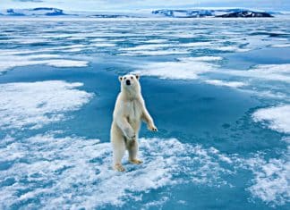 Metano amenaza el Ártico