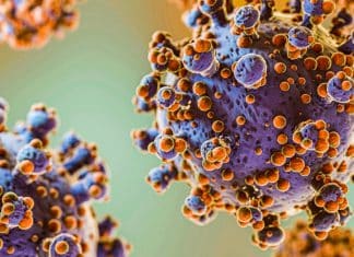 La OMS expone el significado de ‘enfermedad X’