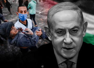 Cien días de terror contra Palestina