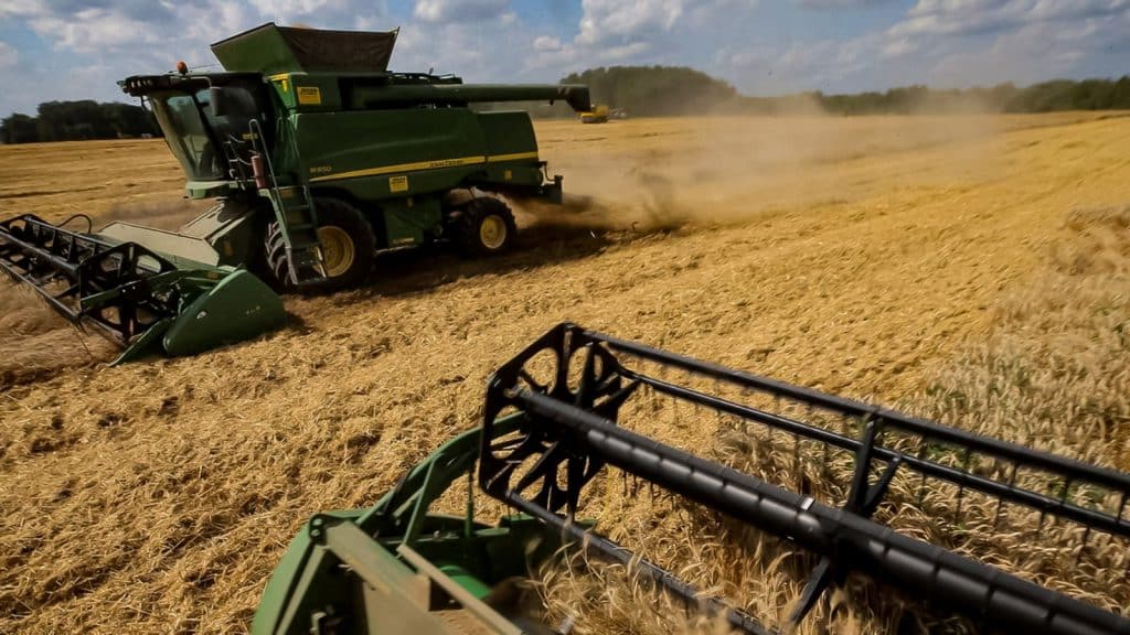200 mil toneladas de trigo han sido enviadas a África por parte de Rusia.
