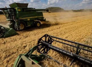 Rusia concluye envío de 200 mil toneladas de trigo hacia África