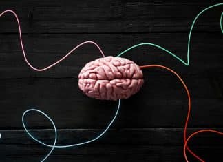 ¿Para qué crea Rusia “minicerebos” de humanos?