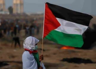 Gaza y la Resistencia de Asia Occidental