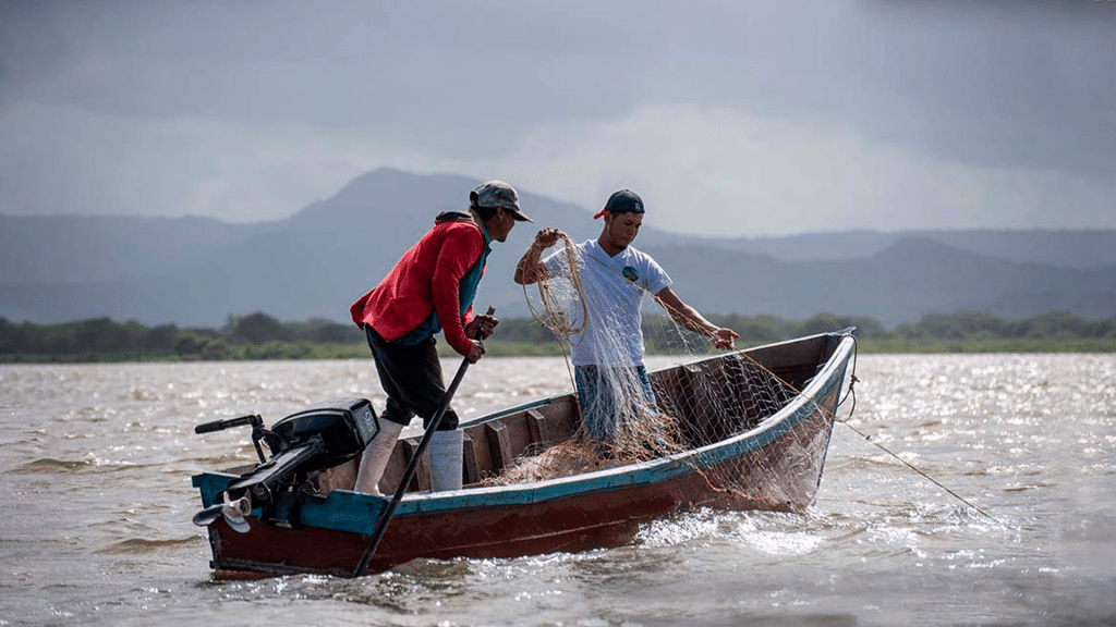 Broad growth of the fishing and aquaculture sector in Nicaragua.