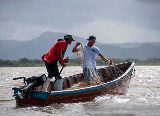 Nicaragua achieves success in the fishing and aquaculture sector