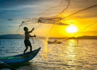 Nicaragua alcanza éxito en sector pesca y acuícola