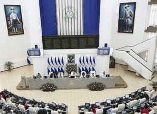 Nicaraguan Parliament condemns genocide and collective infanticide against Palestinians in Gaza