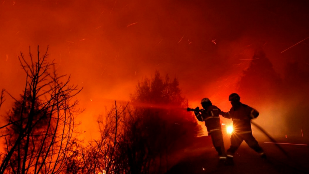 Incendios forestales en Chile dejan más de cien muertos.