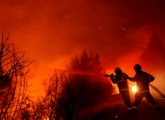 Imágenes de la tragedia en Chile por los incendios forestales